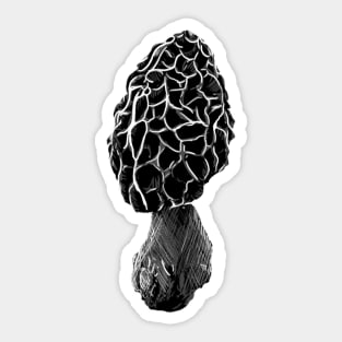 Morel Mushroom (I) Sticker